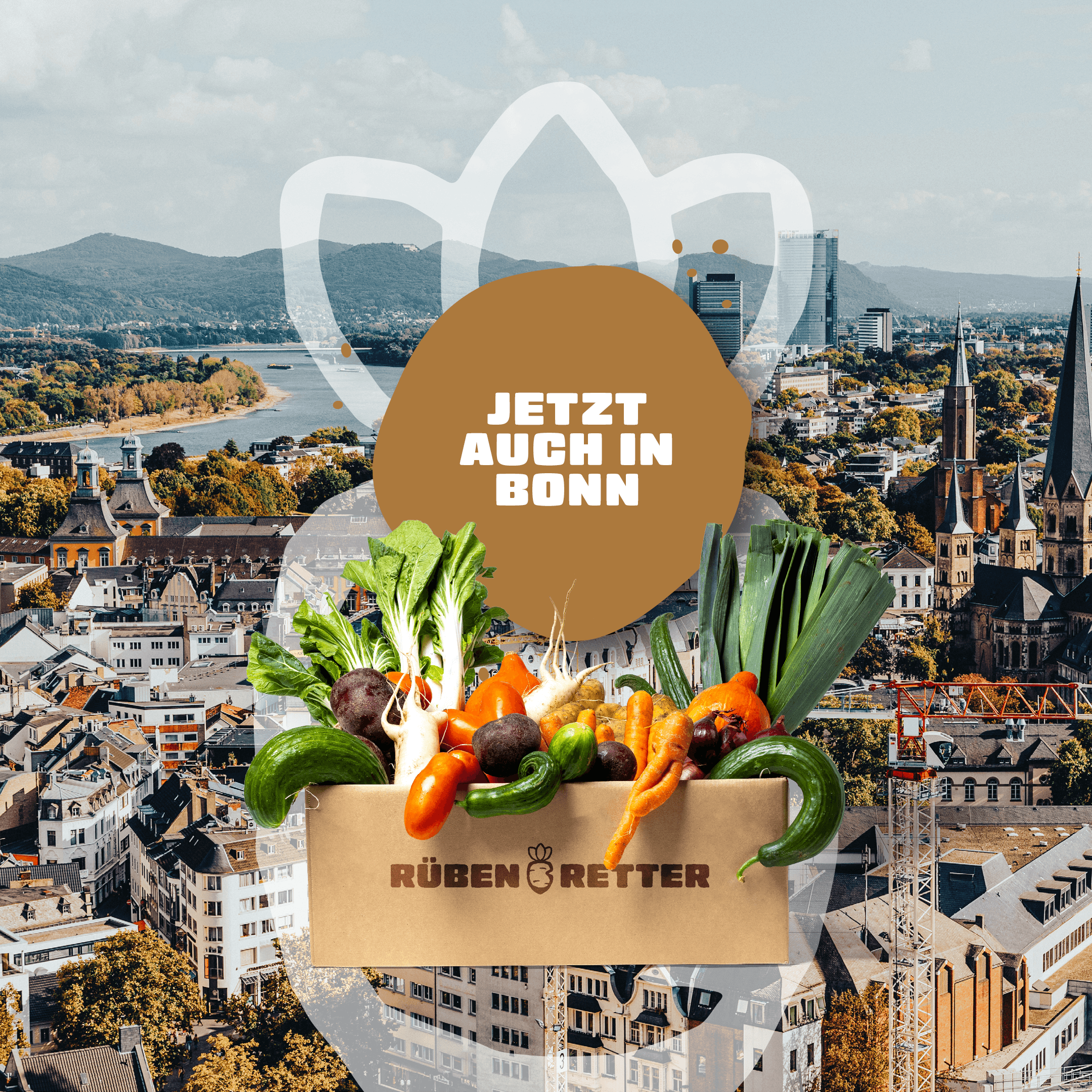 Obst und Gemüse Retterbox Abo kaufen in Bonn