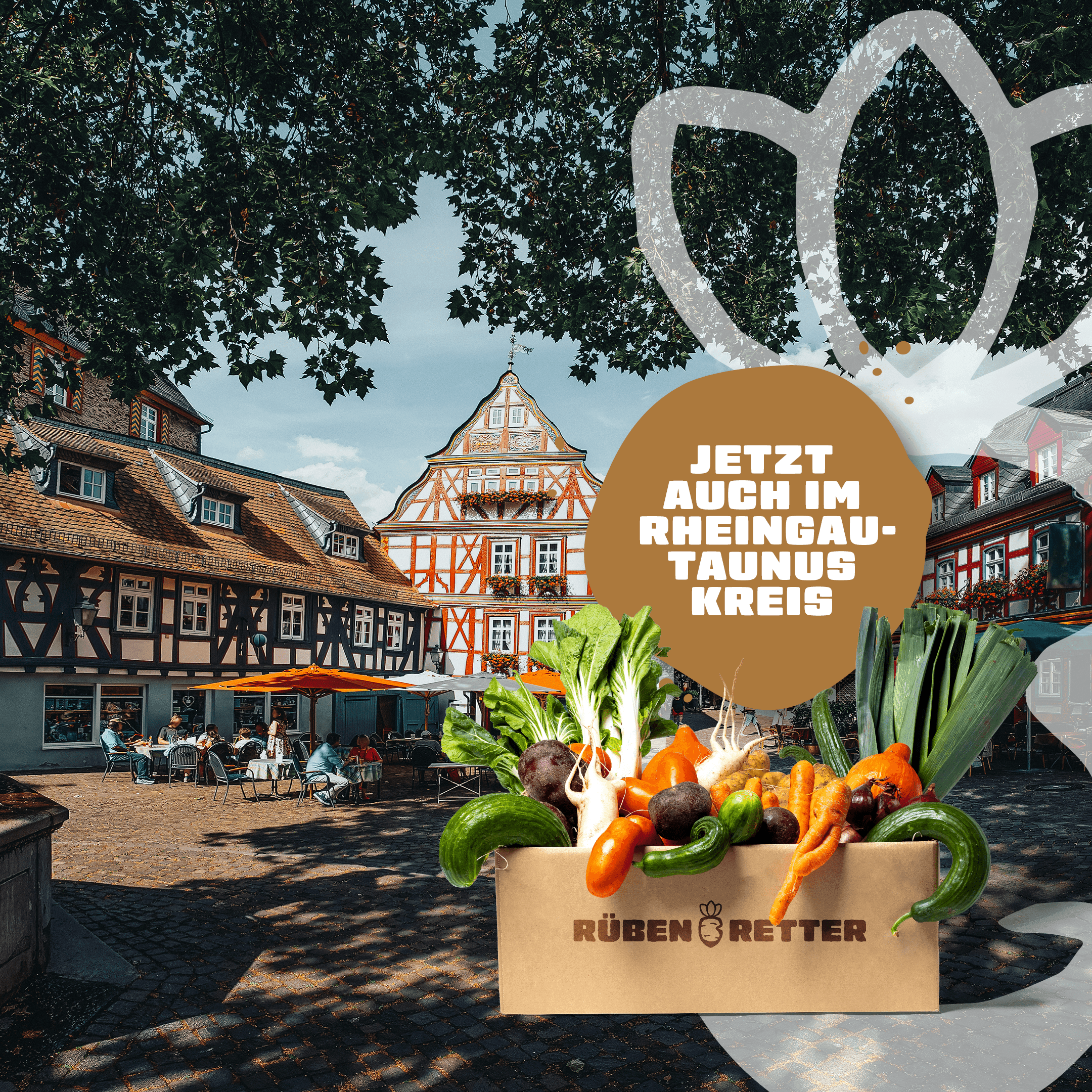 Abo für Obst und Gemüse online bestellen im Rheingau-Taunus-Kreis