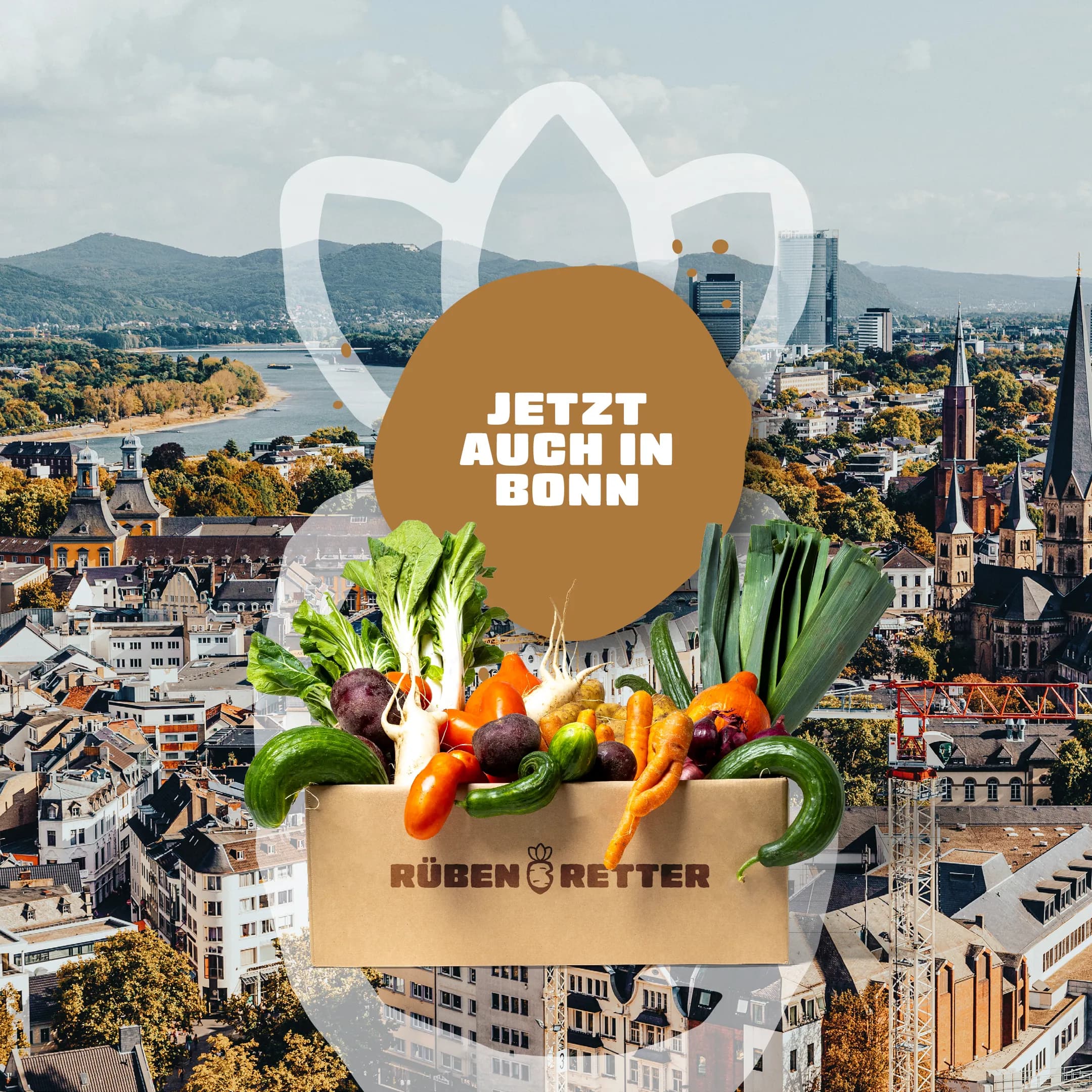 Obst und Gemüse Retterbox Abo kaufen in Bonn