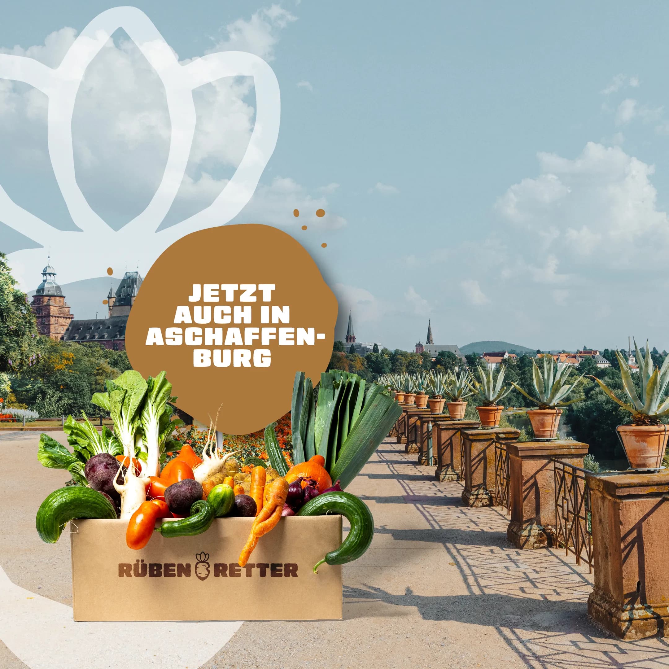 Abo für Obst und Gemüse online bestellen in Aschaffenburg