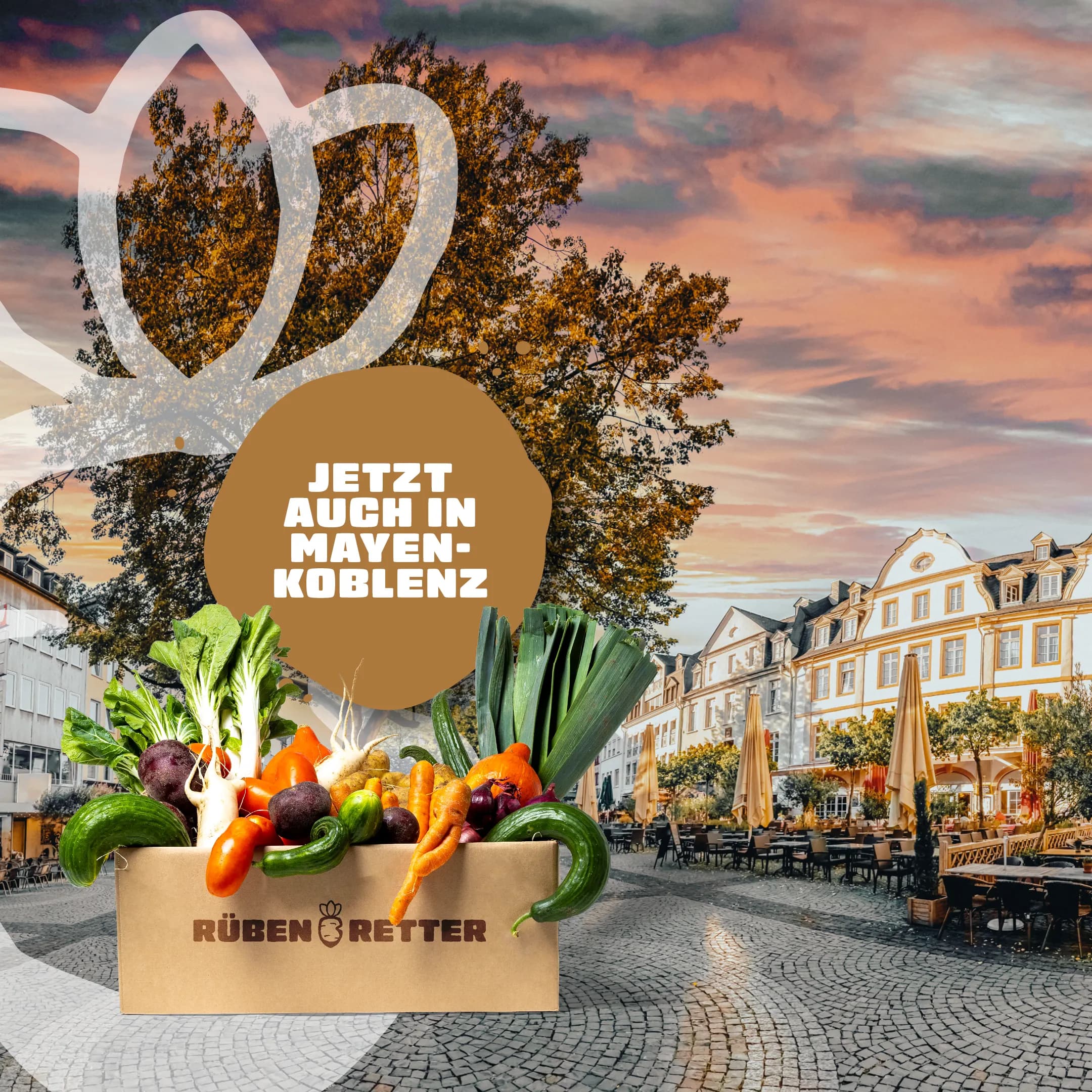 Obst und Gemüse Retterbox Abo kaufen in Mayen-Koblenz