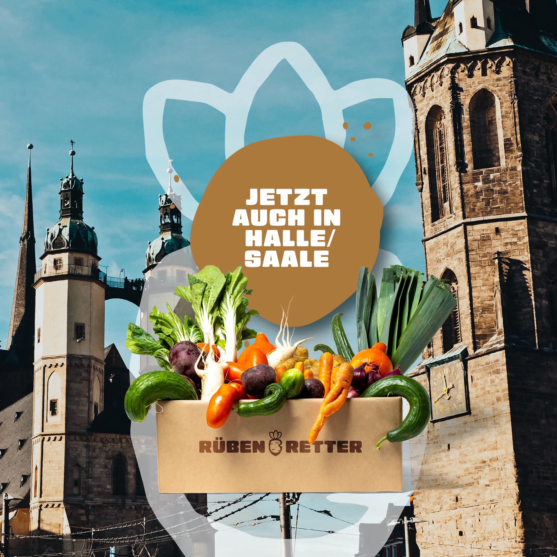 Obst und Gemüse Retterbox Abo kaufen in Halle-Saale