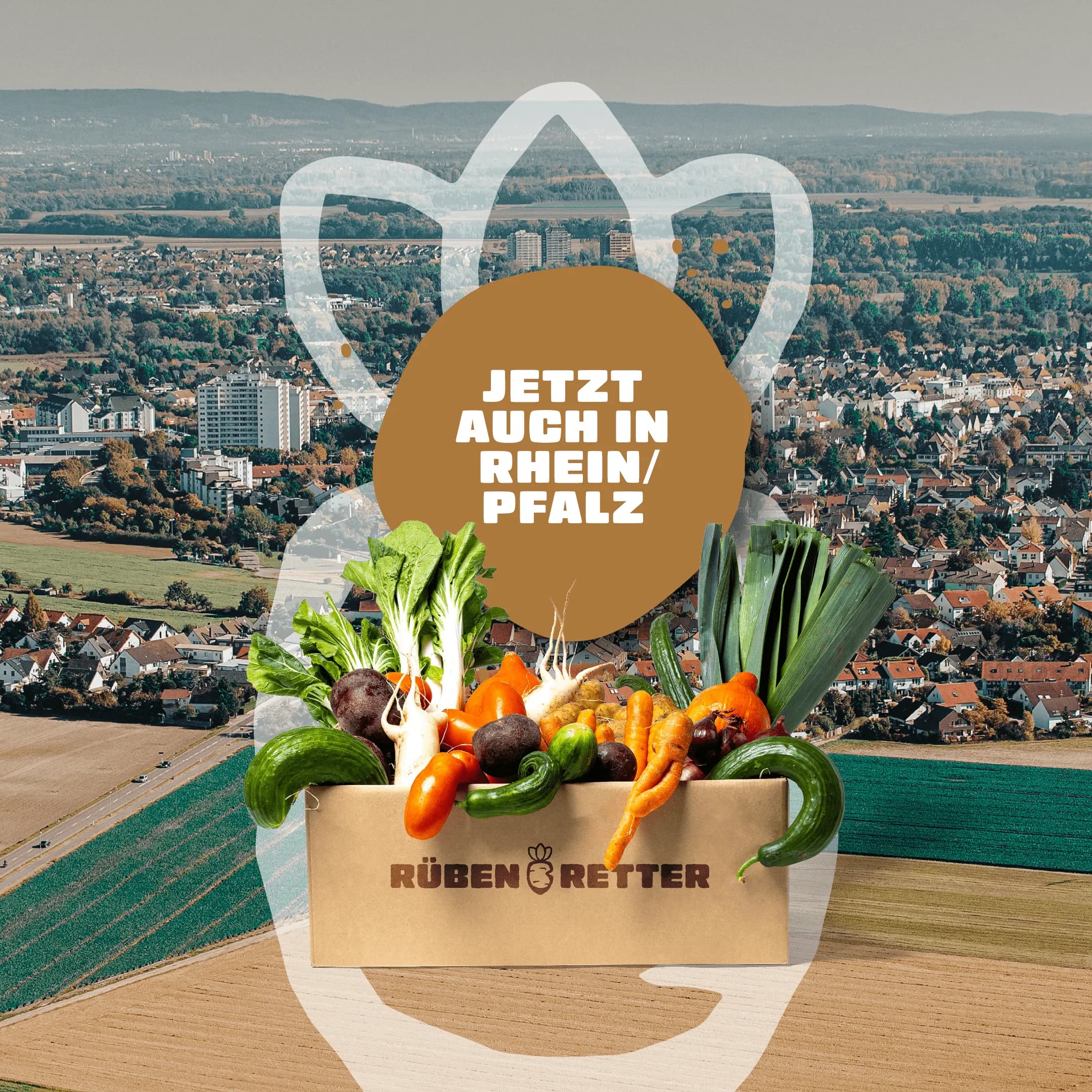 Obst und Gemüse nach Hause liefern lassen in Rhein-Pfalz-Kreis